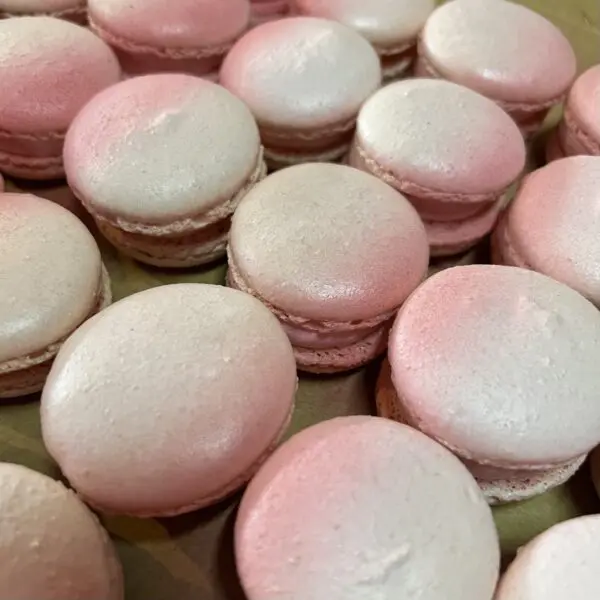 Macaron box – Limited time